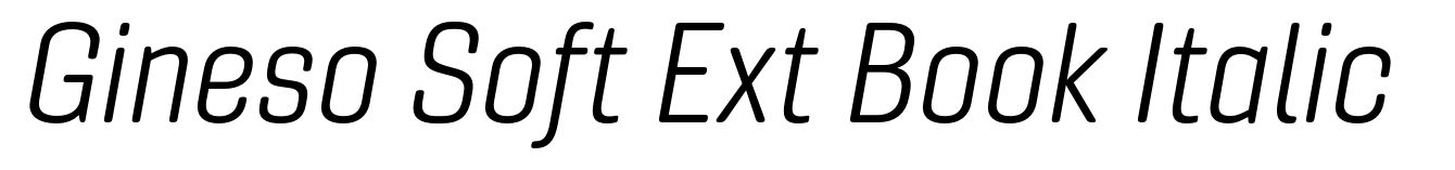 Gineso Soft Ext Book Italic